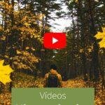 Vídeos youtube nordic walking