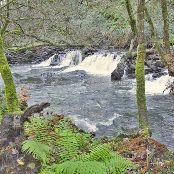 Ruta dos tres rios