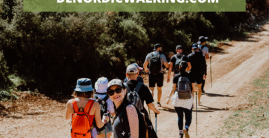 4 principios de Seguridad en la monta帽a